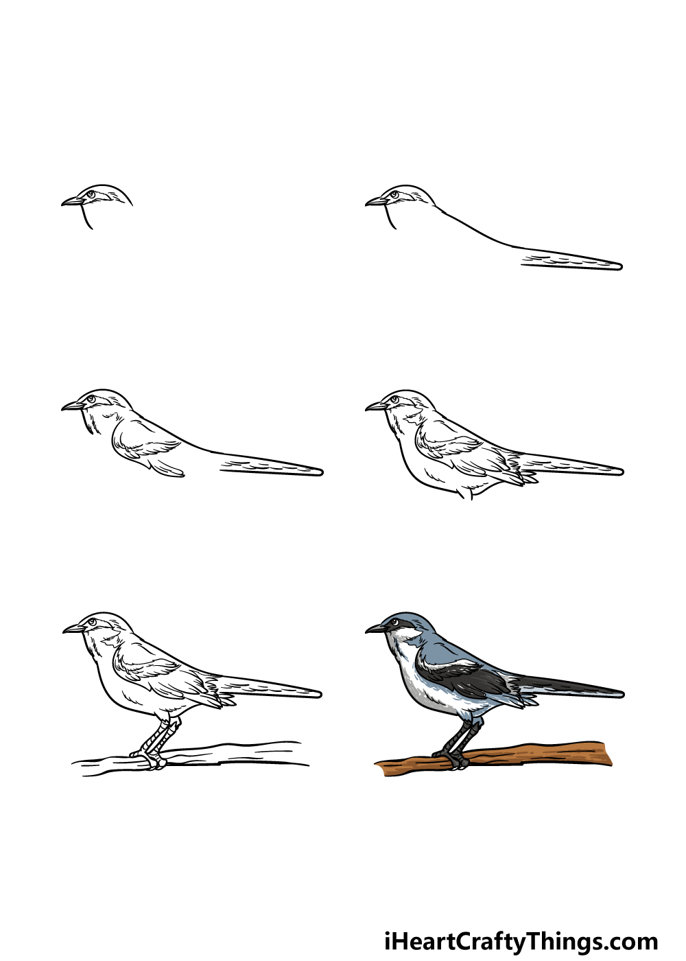 Mockingbird drawing