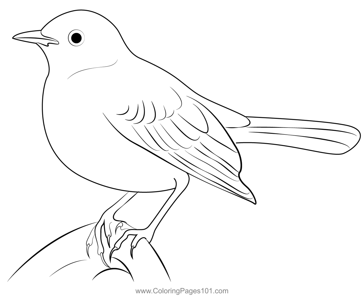 Angry mockingbird coloring page for kids