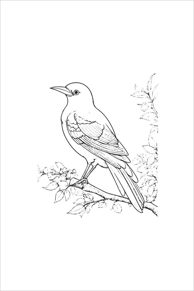 Line art cute simple bird for coloring book pages png clean drawing illustration png images png free download