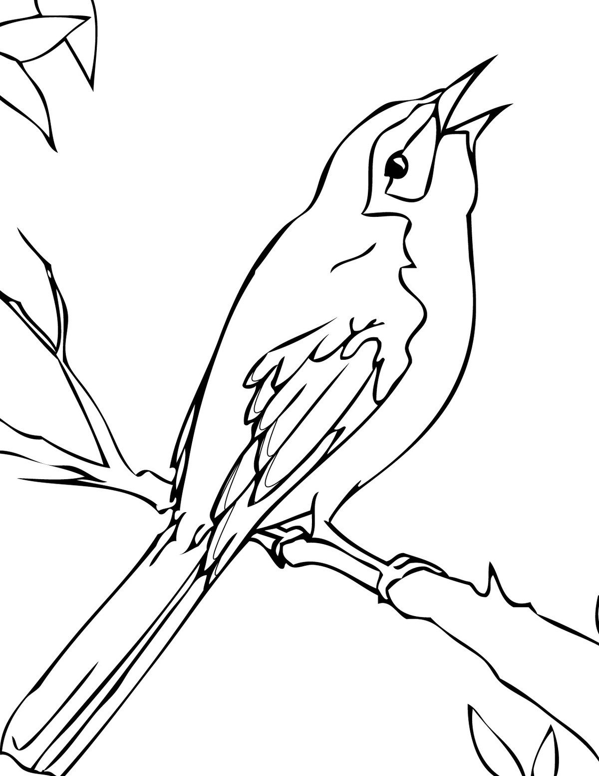 Florida mockingbird coloring page bird coloring pages animal coloring pages coloring pages