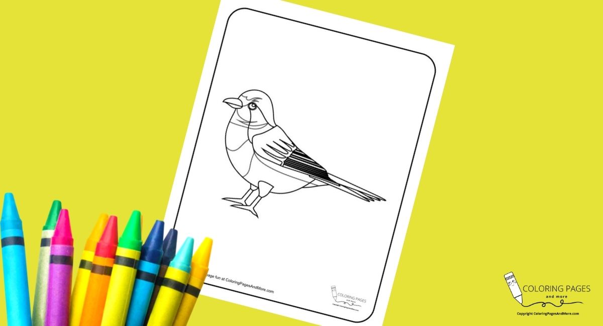 Birds coloring pages free bird coloring sheets