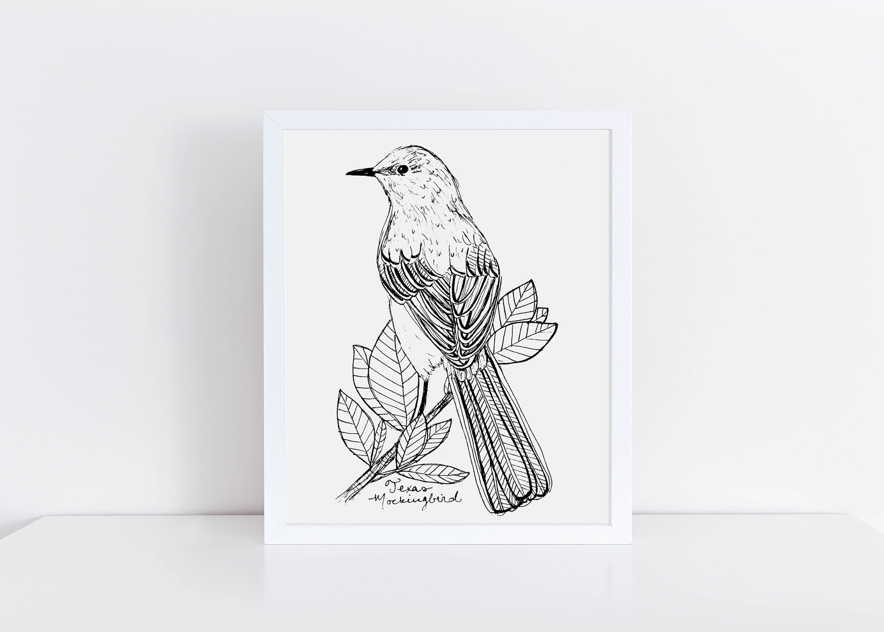 Texas mockingbird state bird art print texas decor mockingbird drawing texas gift black and white bird drawing