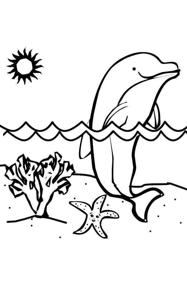 Simple dolphin