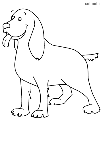 Animals coloring pages free printable animals coloring sheets