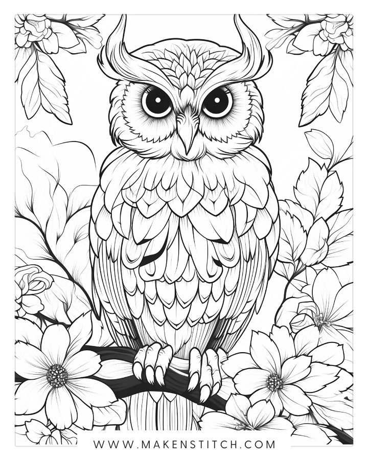 Owls coloring pages for kids and adults