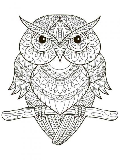 Owl coloring pages for adults