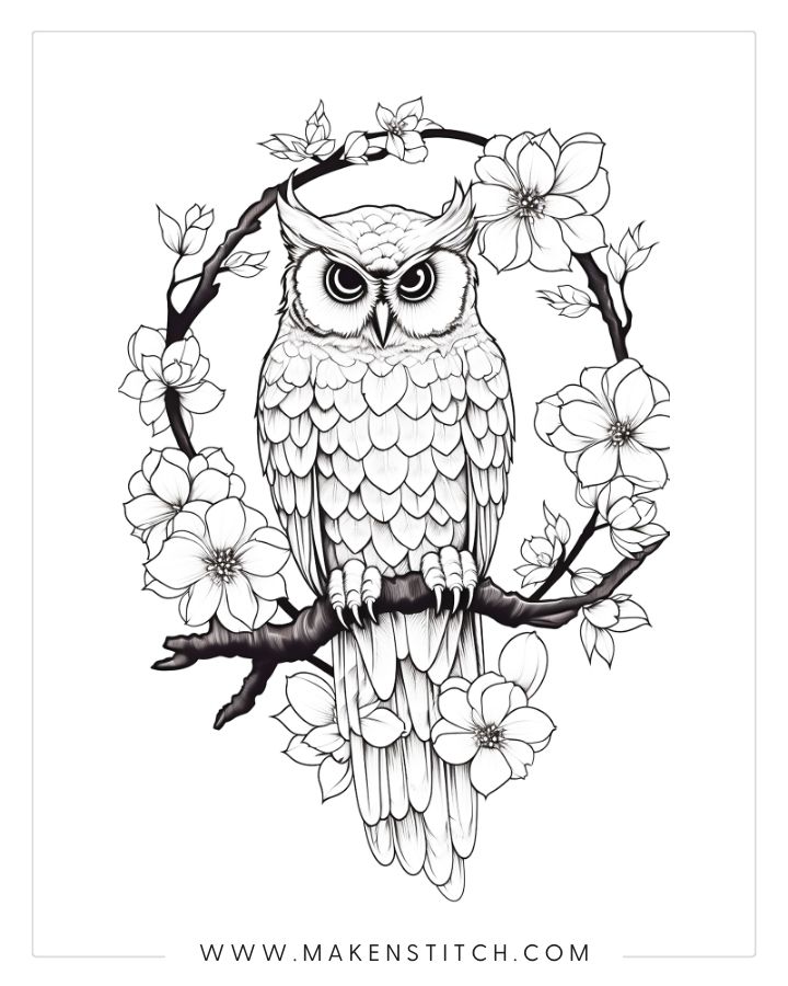 Owls coloring pages for kids and adults