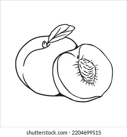 Peach line drawing images stock photos d objects vectors