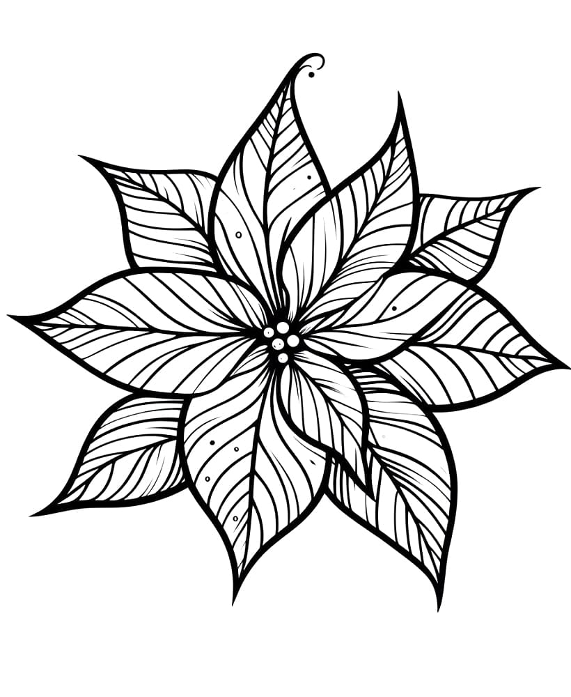 Poinsettia coloring pages