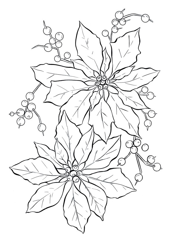 Coloring pages free printable poinsettia coloring pages