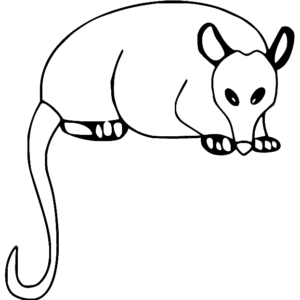 Opossum coloring pages printable for free download