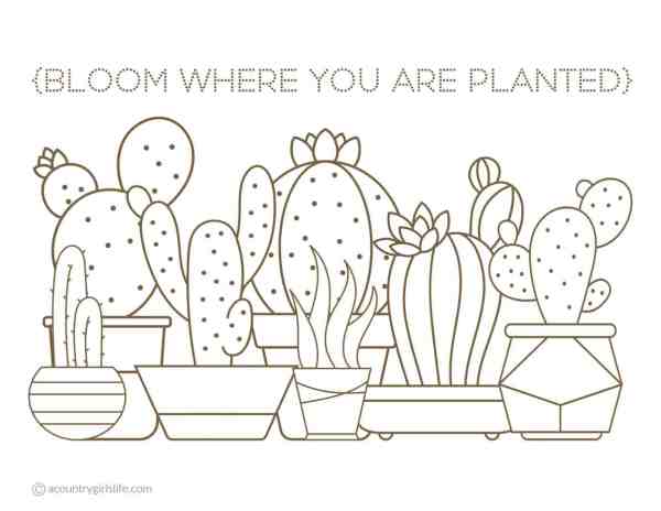 Free printable coloring pages for adults in florals and succulents