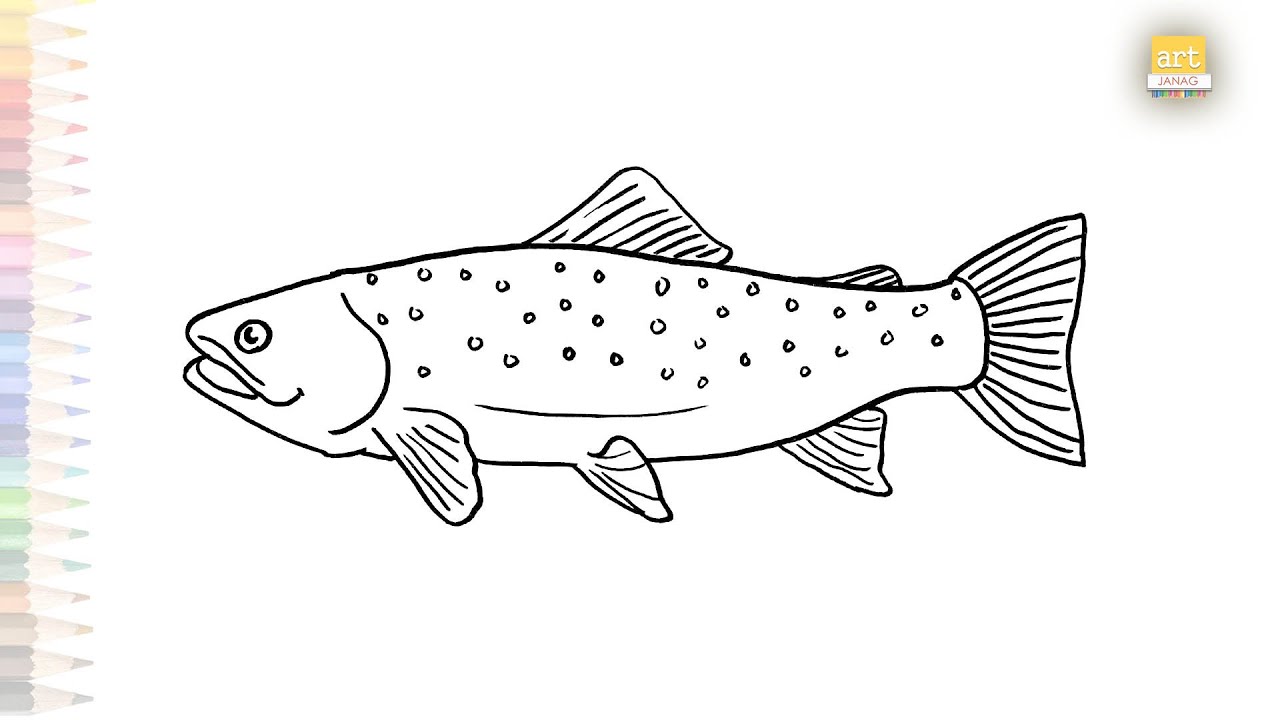 Trout drawings easy fish drawing tutorials how to draw trout fish drawing step by step easy