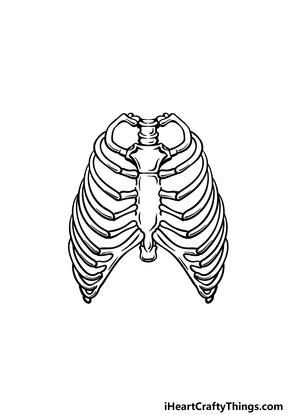 Rib cage drawing