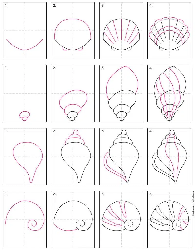 Easy how to draw a sea shell tutorial and sea shell coloring page