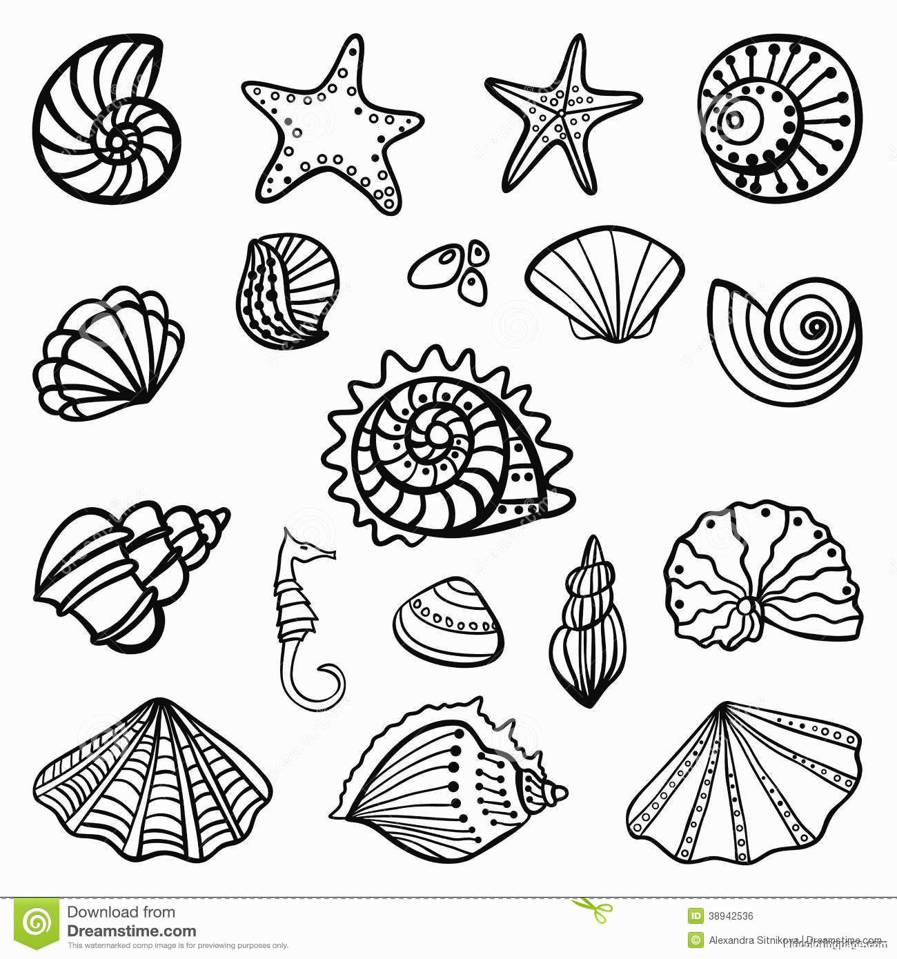 Free coloring pages of seashells download free coloring pages of seashells png images free cliparts on clipart library