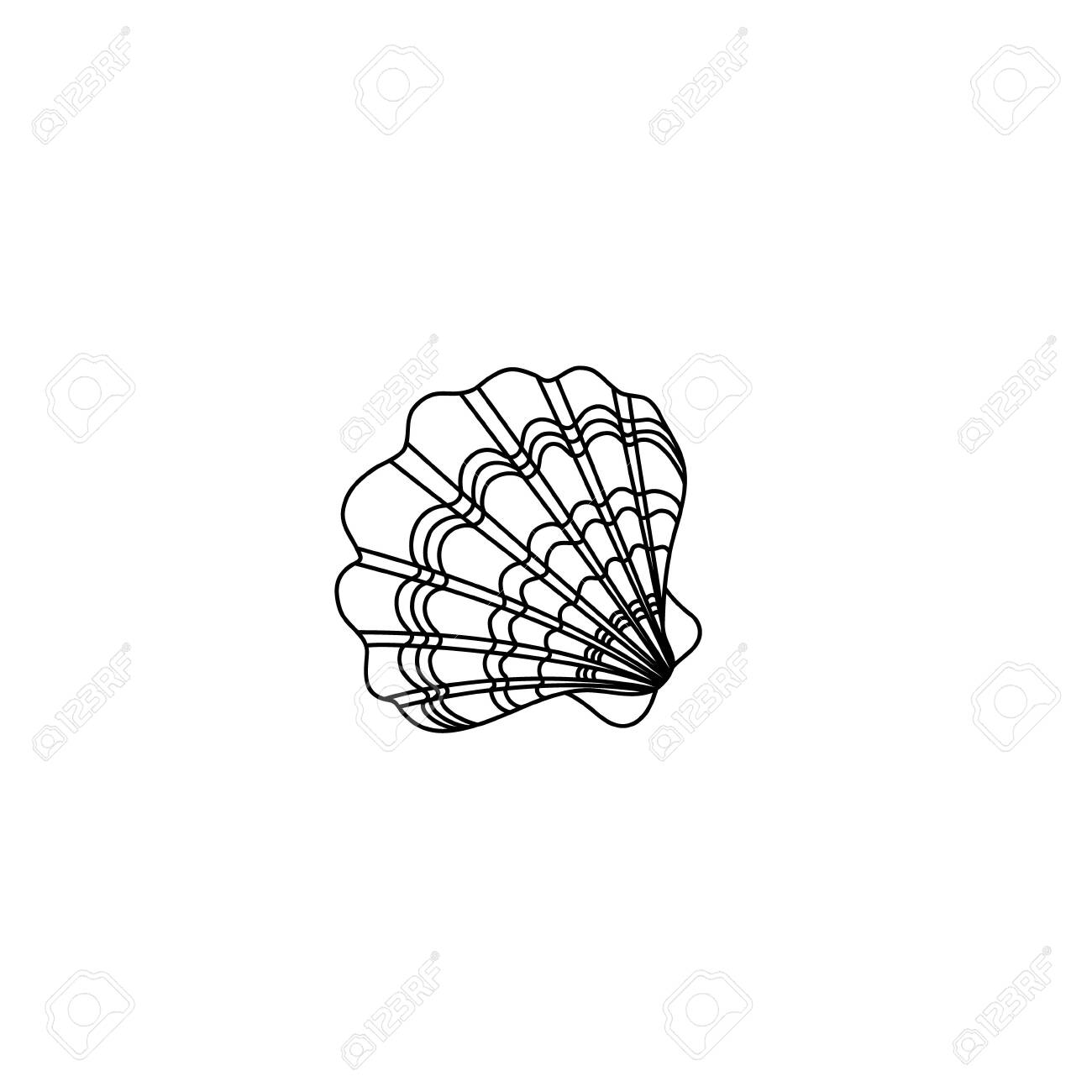 Vector illustration simple silhouette of a seashell drawing of black lines on a white background doodle childs coloring book royalty free svg cliparts vectors and stock illustration image