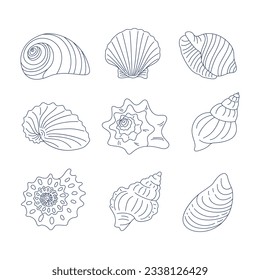 Seashell outline images stock photos d objects vectors