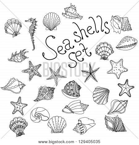 Sea shell starfish vector photo free trial bigstock