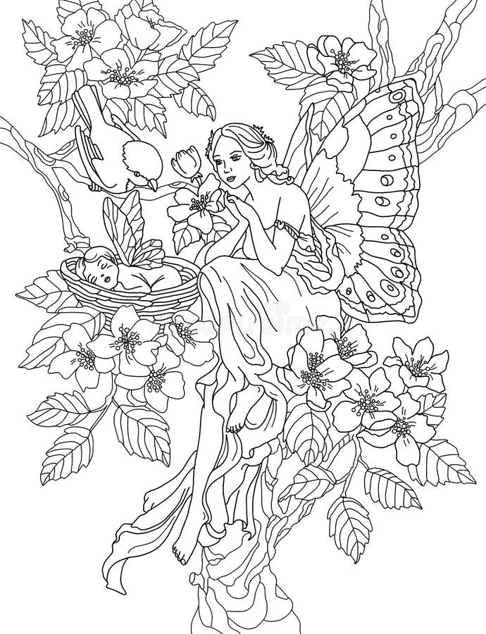 Coloring page the fairy stock illustration illustration of woman