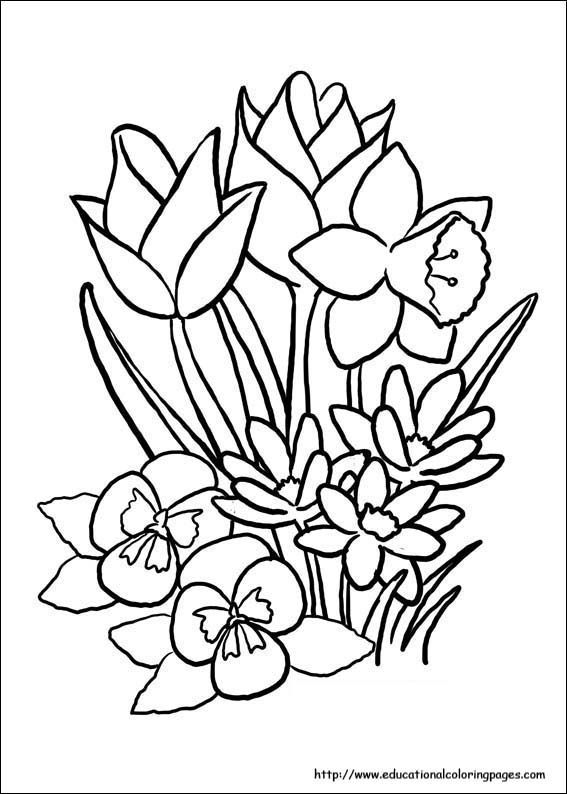 Places to find free printable spring coloring pages