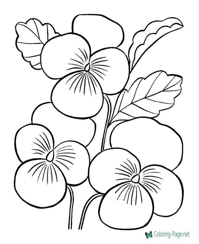 Flower coloring pages