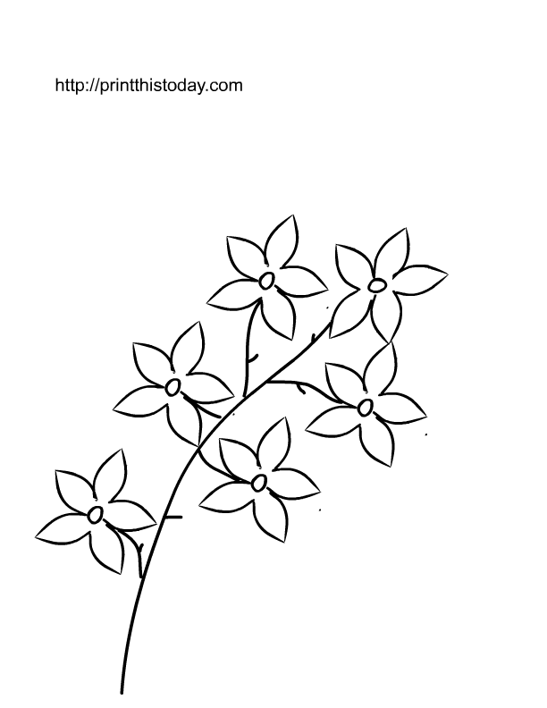 Free printable spring flowers coloring pages