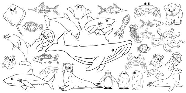 Big set vector cartoon outline isolated sea ocean north animals doodle whale dolphin shark stingray jellyfish fish crab king penguin chick octopus fur seal polar bear cub for coloring book stock illustration