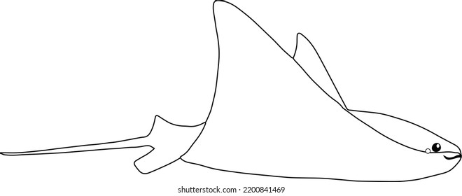 Stingray outline images stock photos d objects vectors