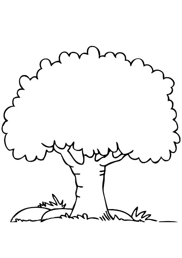 Coloring page tree drawings pencil tree drawing simple tree drawing