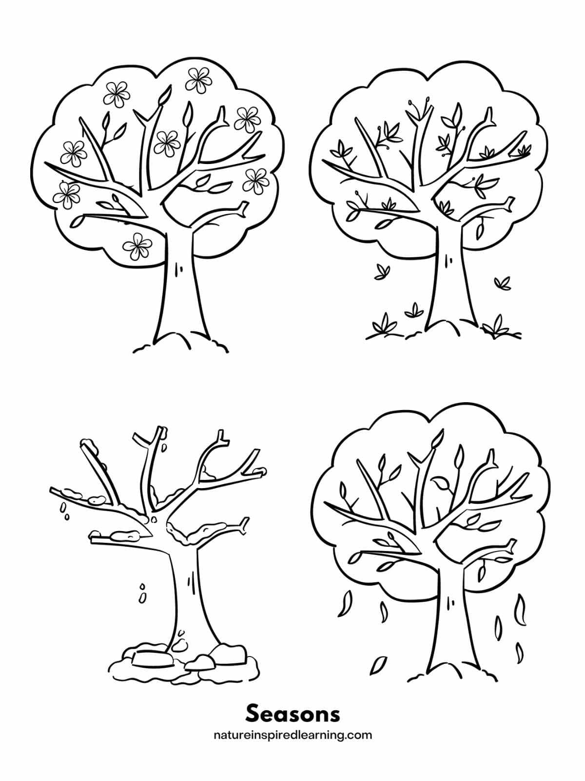 Tree coloring pages