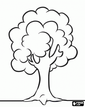 Simple tree coloring page tree drawing simple tree coloring page tree drawing