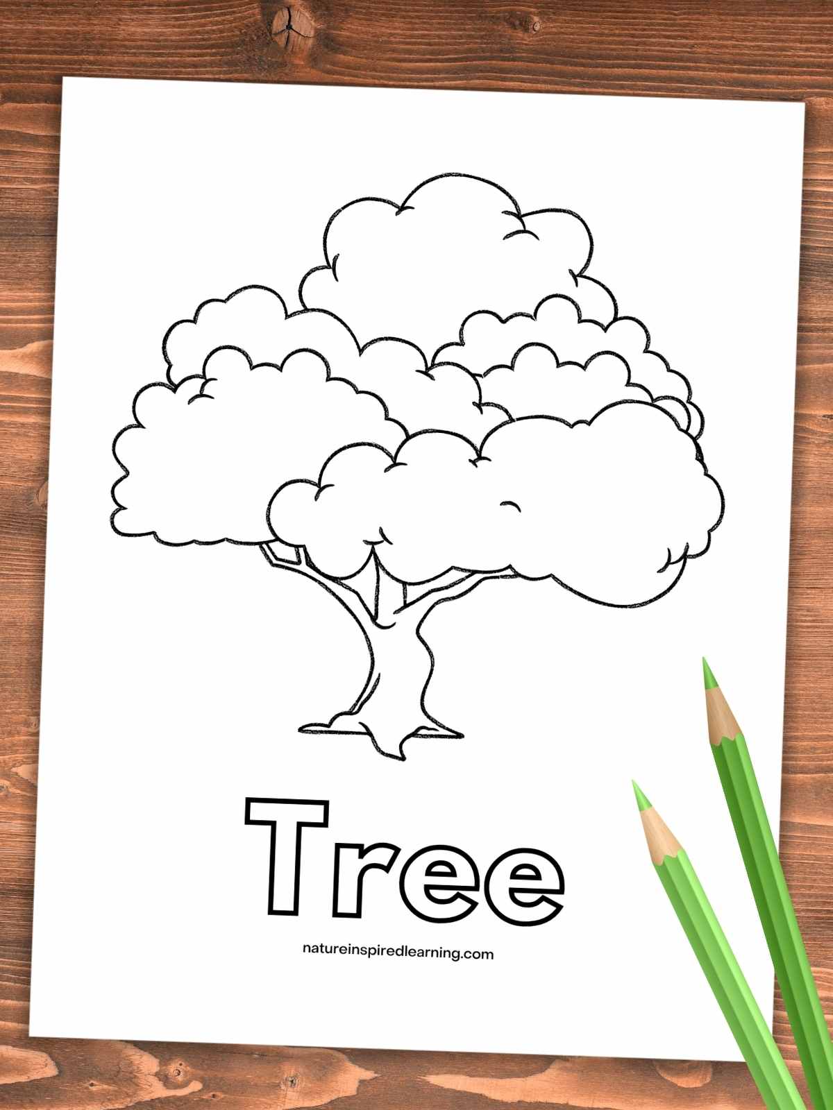 Tree coloring pages