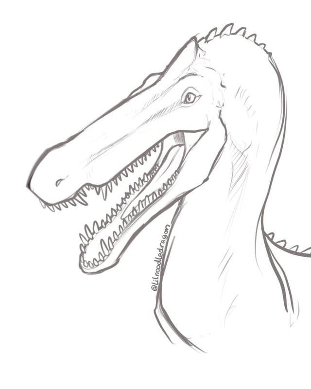 Made a little sketch of my suchomimus rpathoftitans