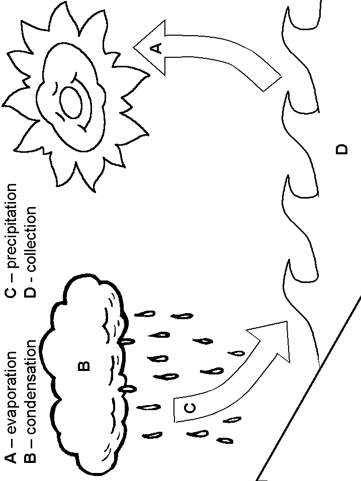 Water cycle activity sheets