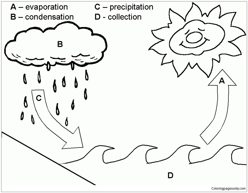 Water cycle coloring page