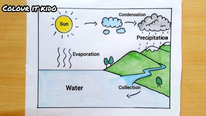 Water cycle drawing siple water cycle school project easy water cycle diagra