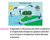 Water cycle worksheets