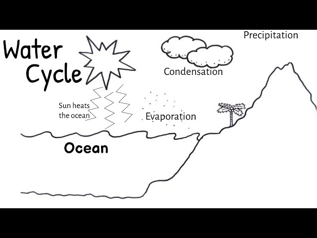 Water cycle short siple science