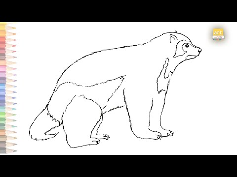 Wolverine animal outline drawing easy draw a wolverine step by step