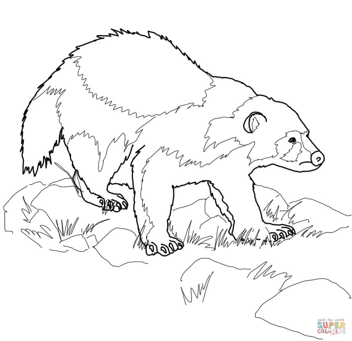 Wolverine animal coloring page free printable coloring pages