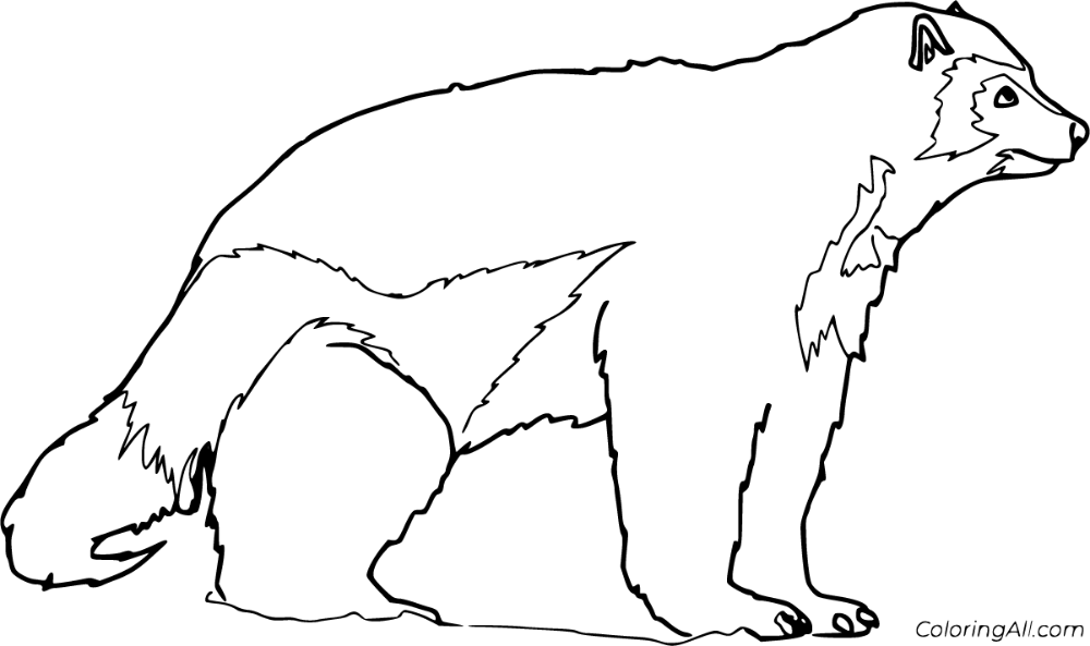 Free printable wolverine coloring pages in vector format easy to print from any device and automatically fit any pâ wolverine animal coloring pages wolverine