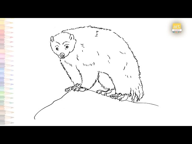 Wolverine animal drawings wolverine drawings how to draw wolverine step by step