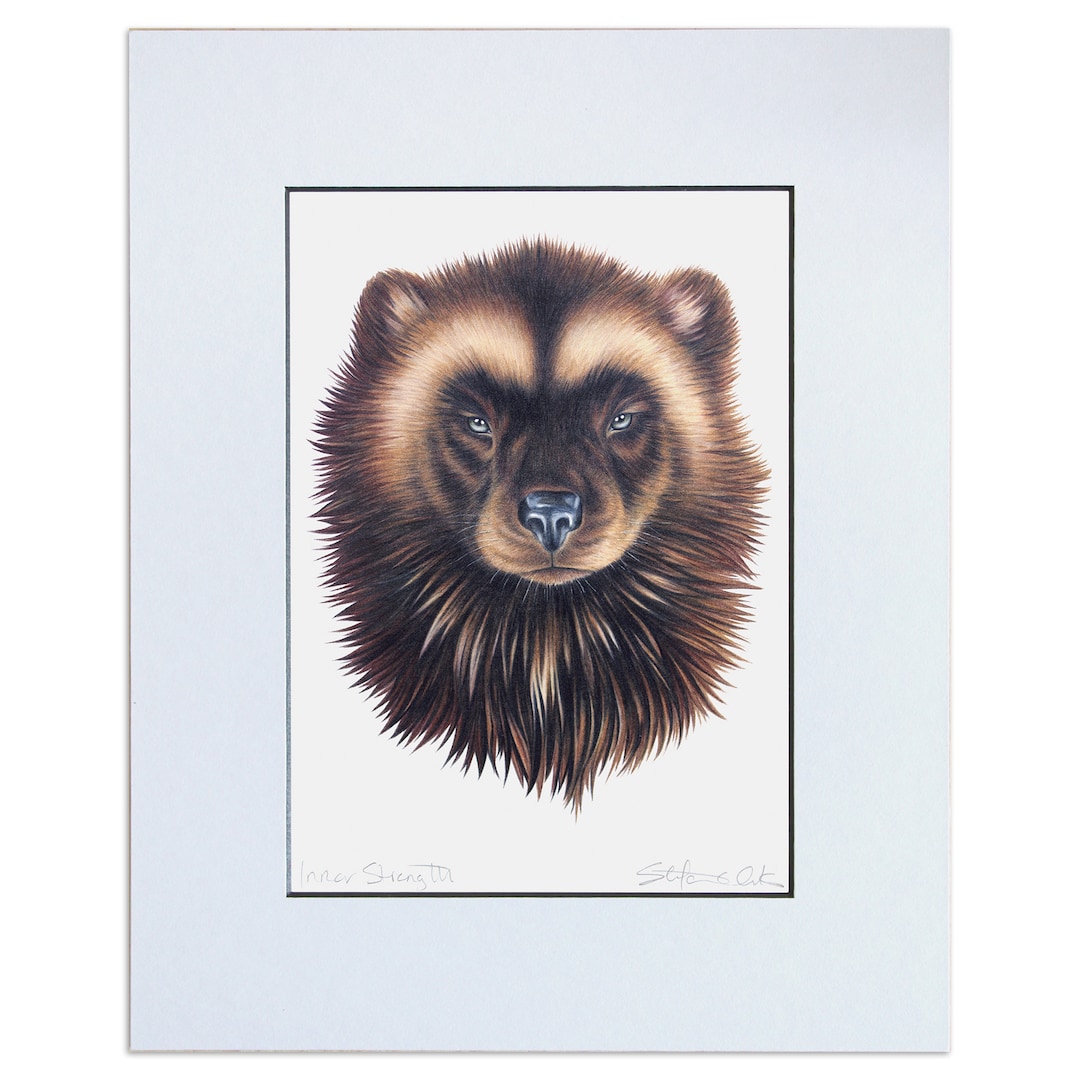 Large wolverine totem portrait animal art print drawing unframed