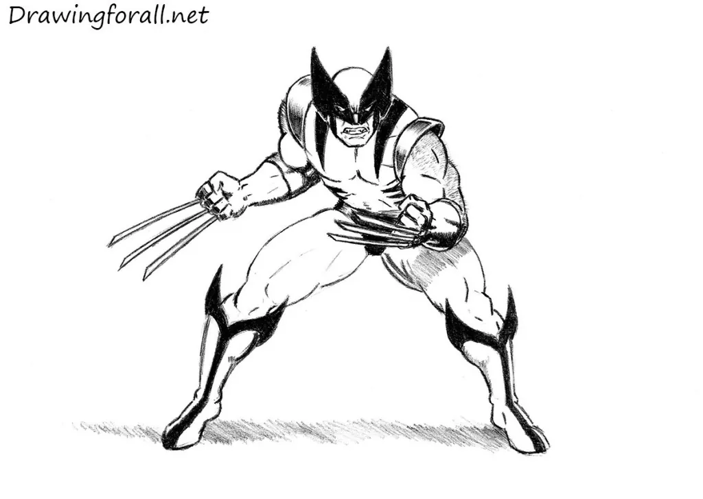 How to draw wolverine