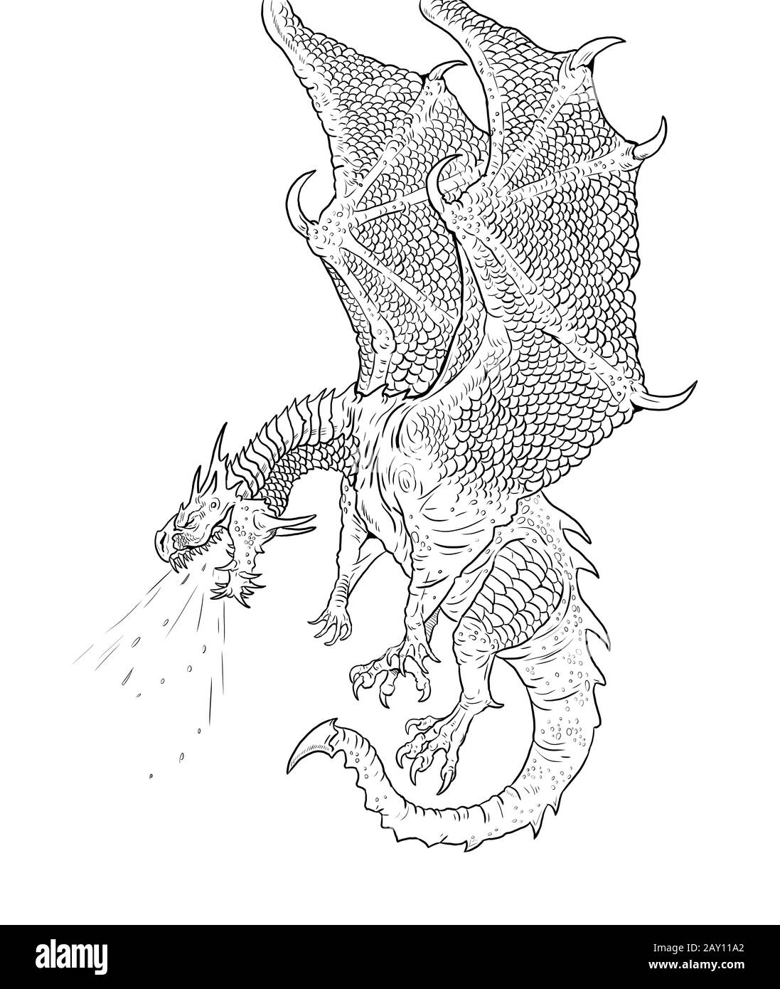 Dragon coloring page outline illustration dragon drawing coloring sheet stock photo