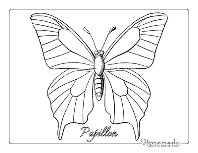 Free butterfly coloring pages for kids adults