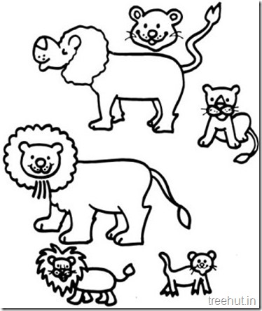 Free cute lion colorg pages