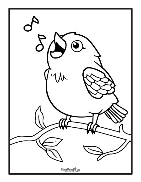 Printable bird coloring pages