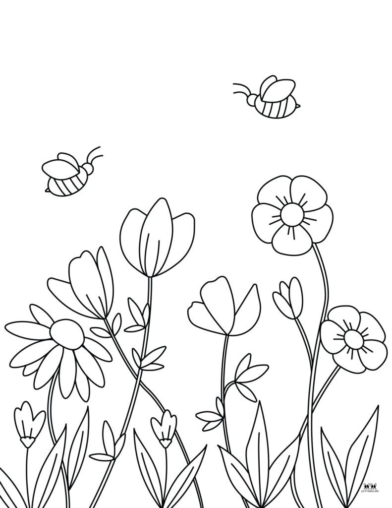 Flower coloring pages